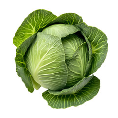 Fototapeta premium Cabbage isolated on a white background