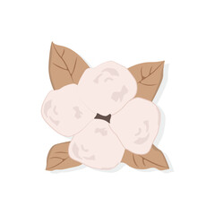 Cotton Icon Vector Design.