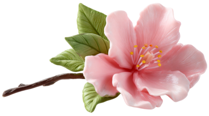 Delicate pink flower with green leaves on a branch