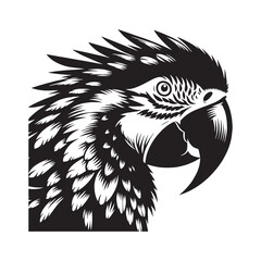 Graceful Curve in Macaw silhouette – Macaw illustration – Minimalist Macaw vector – Bird silhouette


