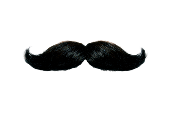 Stylish black mustache with curled tips on transparent background