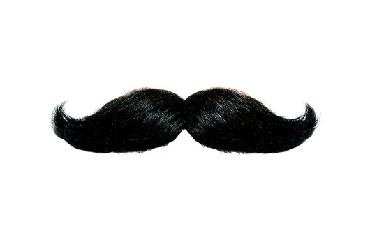 Stylish black mustache with curled tips on transparent background