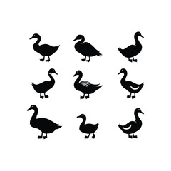 set collection duck silhouette icon vector design template