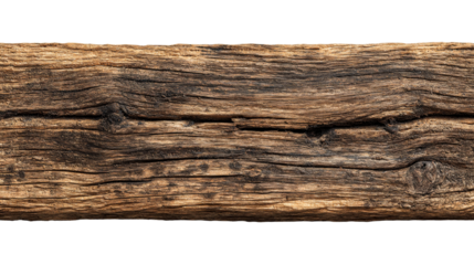 Wooden log displayed with rich textures and natural colors