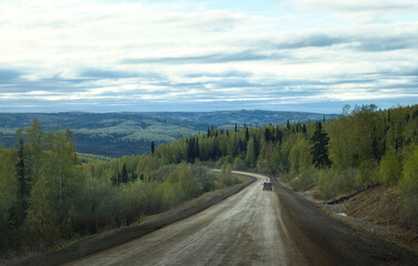 Green trees around Dalton Highway