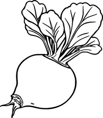 Line Drawing Of A Single Beetroot With Leaves
