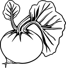 Stylized Line Drawing Of A Turnip With Leaves