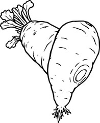 Two Fresh Carrots Line Art Illustration