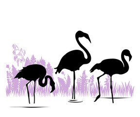 Nature landscape with birds silhouettes. Flamingo on the lake. Vector illustration.	
