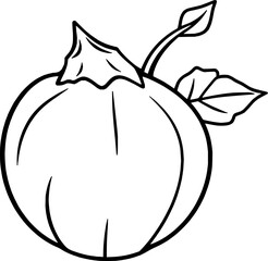 Simple Line Drawing Of A Round Fruit With Leaves