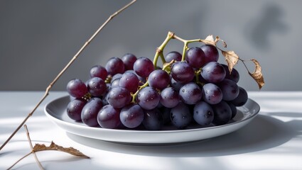 Fresh black grape cluster with stem on white surface, isolated background
