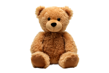 Cute plush teddy bear with soft fur sitting upright in a bright space