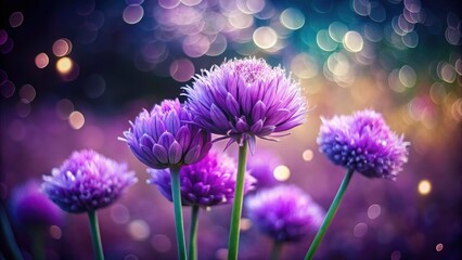 Fototapeta premium Purple Chive Blossom Bouquet, Bokeh Photography, Macro Flowers, Spring Bloom, Edible Flowers, Culinary Herbs