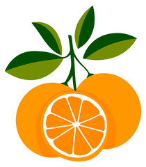 simple illustration of oranges on a branch with leaves and one orange cut in half without background