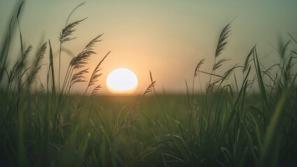 Bright sunrise showcasing nature's beauty and new beginnings