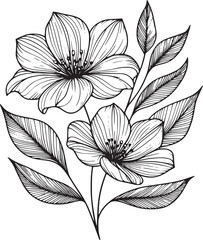 Line drawing of various flowers vector, clipart, transparent, png, element