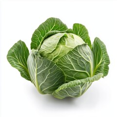 Obraz premium Fresh green cabbage with vibrant leaves showcasing its natural freshness and health benefits in a simple setting