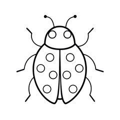Realistic Ladybug Line Art Vector Sketch