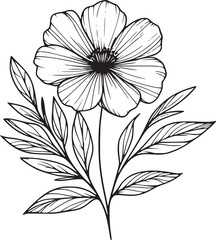 Line drawing of various flowers vector, clipart, transparent, png, element