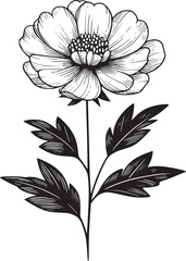 Line drawing of various flowers vector, clipart, transparent, png, element
