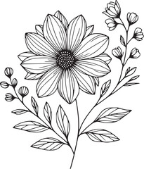 Line drawing of various flowers vector, clipart, transparent, png, element
