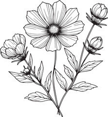 Line drawing of various flowers vector, clipart, transparent, png, element
