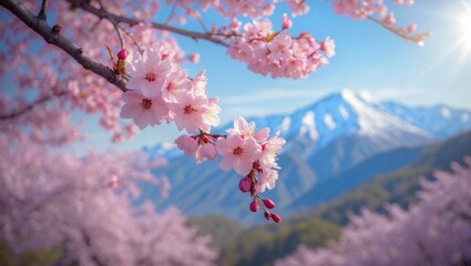 Springtime cherry flowers against mountain scenery