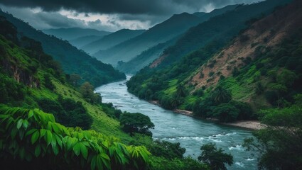 Remarkable Dense Foliage of the Western Ghats Accompanied by the Leading River Image