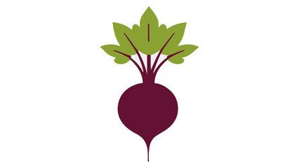 simple radish isolated on white vector illustration