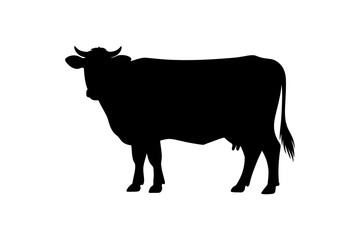 Black silhouette of a cow standing in a field farm