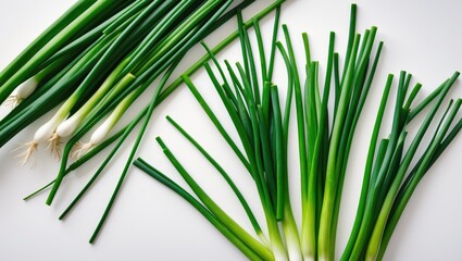 Obraz premium Raw Chinese chives with garlic, herbal vegetable for oriental cuisine, green leafy plant