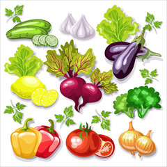 set of natural organic farm vegetables vector image