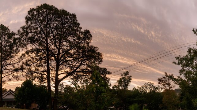 formation against soft gradient sky at sunset - Powered by Adobe