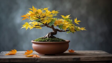Maple bonsai adorned with fall leaves in a brown bowl resting on wood
