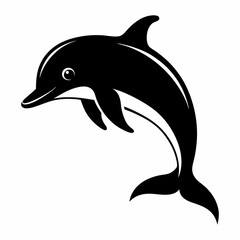 dolphin isolated on white background
