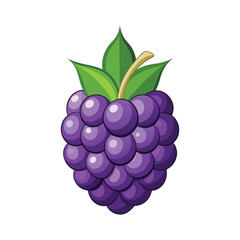 Blackberry and Blueberry – Fresh, Juicy, and Lush Fruit Illustration