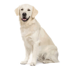 Obraz premium Vector Illustration of a Labrador Retriever Sitting