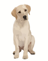 Vector Illustration of a Labrador Retriever Puppy Sitting