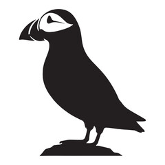 Colorful Puffin silhouette on a bright horizon – Puffin illustration – Minimalist Puffin vector – Bird silhouette

