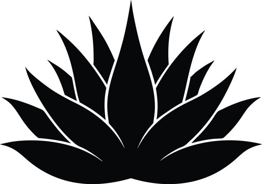 recommend clip art: Agave plant silhouette vector, aloe vera silhouette, aloe vera icon