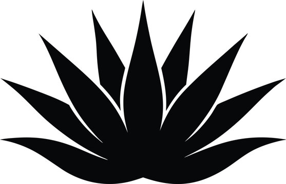 recommend clip art: Agave plant silhouette vector, aloe vera silhouette, aloe vera icon