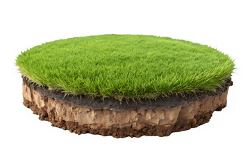 Cross section of soil layers with vibrant green grass showcasing environmental science and nature