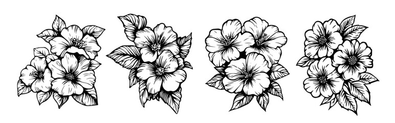 hibiscus flower bundle in elegant black and white botanical vector style © Mago