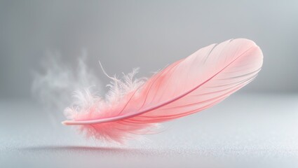 Obraz premium Coral pink feather displayed on a background
