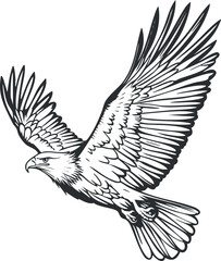 Detailed black and white illustration of an eagle in flight with outstretched wings and sharp talons