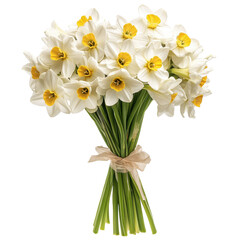 Bright and elegant bouquet of white daffodil flowers with yellow centers for any occasion, dafodil Flowers Floral Bouquets flowers with White background