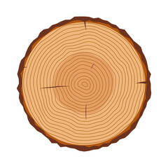 Tree Trunk Cross Section with Growth Rings Vector Illustration. A detailed cross section of a tree trunk, showcasing clearly visible annual growth rings that radiate outward from the center.