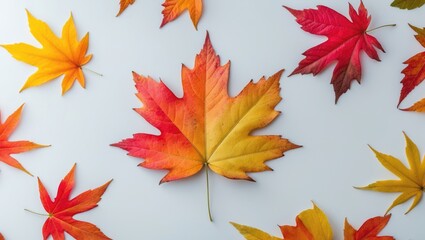 Fototapeta premium Colorful Fall Foliage Background with Isolated Leaves and Texture