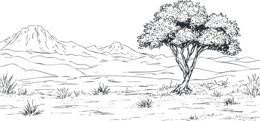 Black and white sketch of a desert landscape with a tree in the foreground and mountains in the background