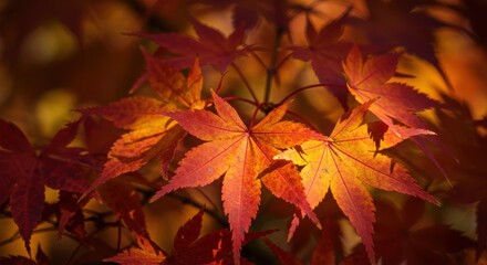 Autumn maple leaves in warm light, perfect for seasonal designs and nature themes. use cases: backgrounds, cards, and websites.